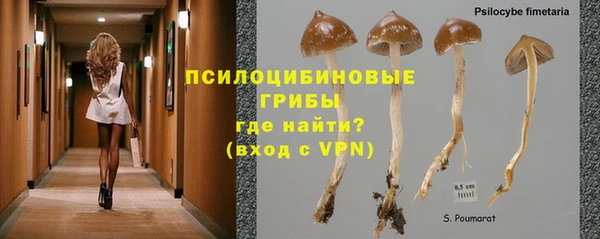 спайс Верхний Тагил