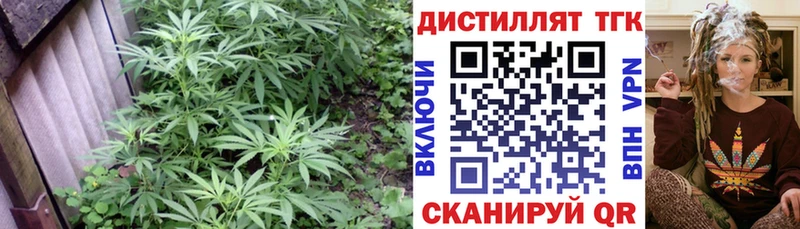 ТГК гашишное масло  Семилуки 